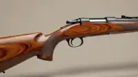 Boyds Hardwood Stocks: Absurdly Elegant Rifle Tech